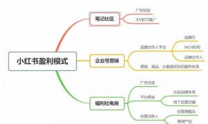 Tiktok的泼天流量富贵，变成小洋芋的小红书接得住吗？